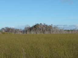 Florida_2007-2008-056